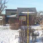 Neujahr 2015 Impressionen aus dem Kirschbaum